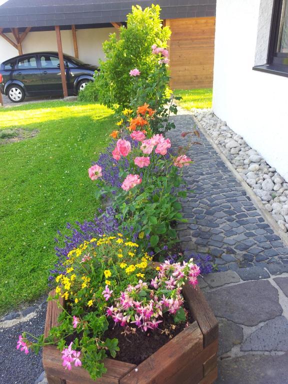 Ferienwohnung Evangeline Borsch Zell Extérieur photo